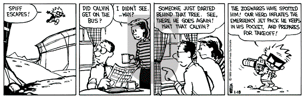Calvin and Hobbes - Wednesday January 18, 1989 Comic Strip