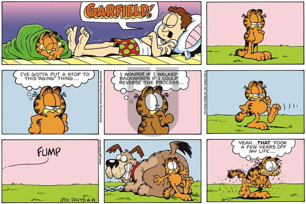 Garfield on Sunday June 8, 2003 Comic Strip