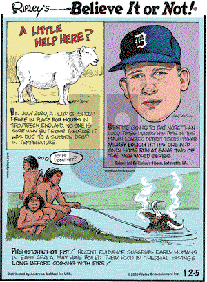 Ripley's Believe It or Not on Saturday December 5, 2020 Comic Strip