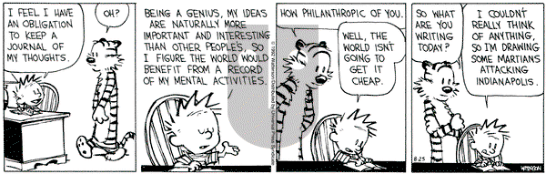 Calvin and Hobbes on Tuesday August 25, 1992 Comic Strip