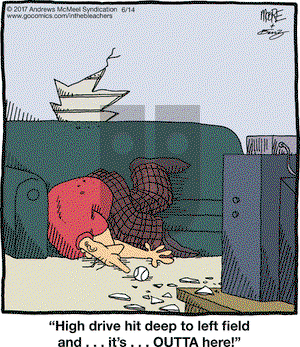 In the Bleachers on Wednesday June 14, 2017 Comic Strip