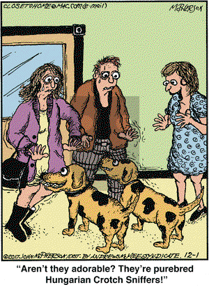 Close to Home on Friday December 1, 2017 Comic Strip