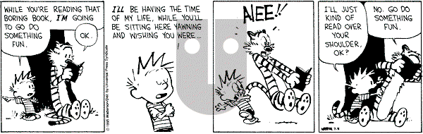 Calvin and Hobbes - Wednesday July 5, 1995 Comic Strip
