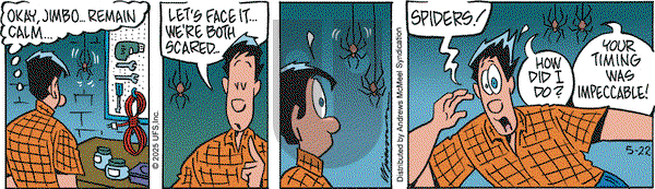 Rose is Rose on Thursday May 22, 2025 Comic Strip