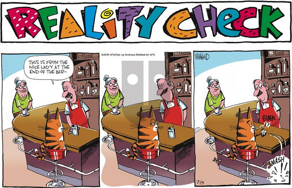 Reality Check on Sunday July 14, 2019 Comic Strip