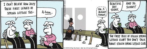 Overboard on Thursday May 26, 2016 Comic Strip
