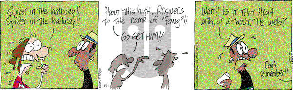 The Knight Life on Saturday November 21, 2015 Comic Strip