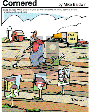 Cornered - Tuesday August 23, 2011 Comic Strip