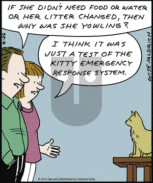 Real Life Adventures on Thursday June 26, 2014 Comic Strip