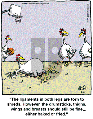 In the Bleachers on Friday March 13, 2009 Comic Strip