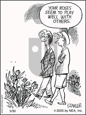 Moderately Confused on Monday May 30, 2005 Comic Strip