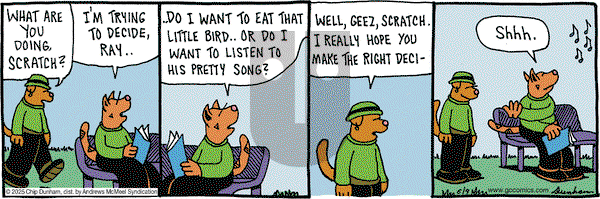Overboard on Monday June 9, 2025 Comic Strip