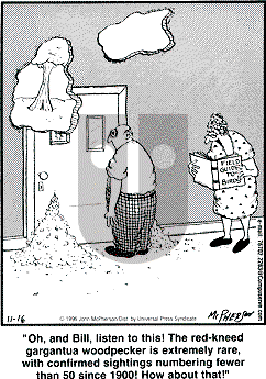 Close to Home - Saturday November 16, 1996 Comic Strip