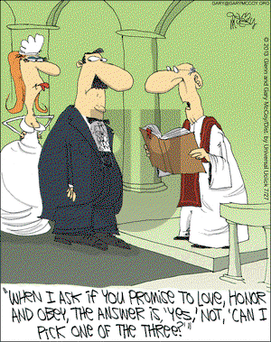 The Flying McCoys on Saturday July 27, 2013 Comic Strip