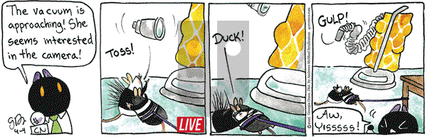 Breaking Cat News on Friday April 4, 2025 Comic Strip