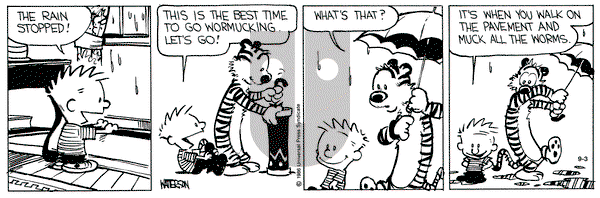 Calvin and Hobbes on Tuesday September 3, 1991 Comic Strip