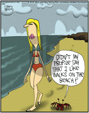 The Flying McCoys on Saturday January 20, 2018 Comic Strip