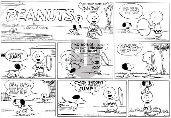 Peanuts on Sunday August 23, 1953 Comic Strip