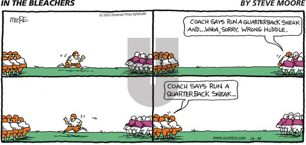 In the Bleachers on Sunday December 14, 2003 Comic Strip