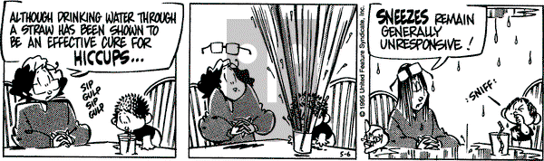 Rose is Rose on Saturday April 27, 1996 Comic Strip