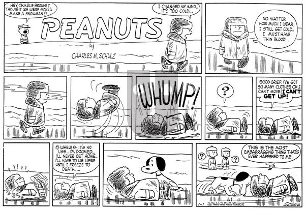 Peanuts on Sunday January 1, 1956 Comic Strip