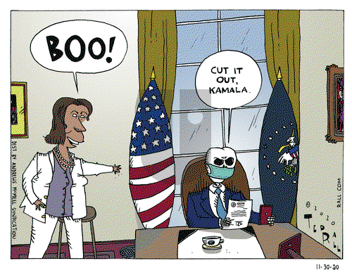 Ted Rall on Monday November 30, 2020 Comic Strip