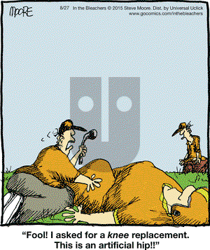 In the Bleachers on Thursday August 27, 2015 Comic Strip