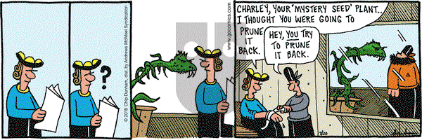 Overboard on Friday July 20, 2018 Comic Strip