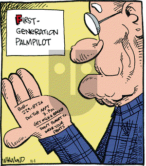 Reality Check on Saturday November 1, 2008 Comic Strip