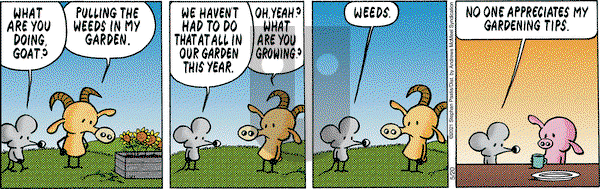 Pearls Before Swine - Thursday May 20, 2021 Comic Strip