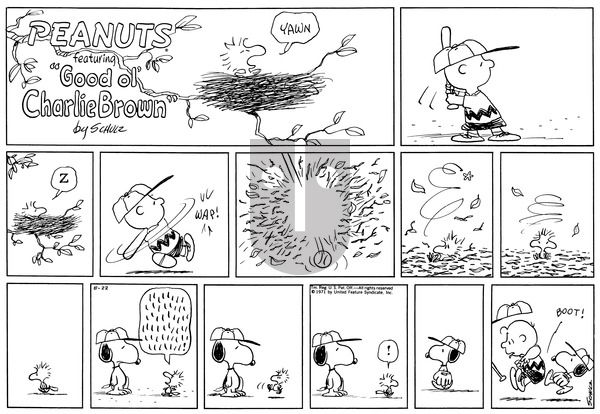 Peanuts on Sunday August 22, 1971 Comic Strip