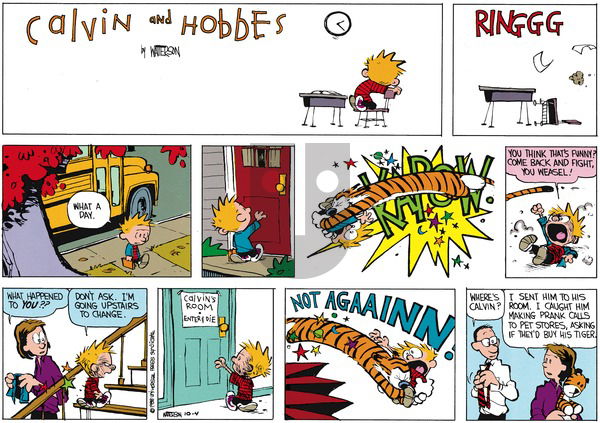 Calvin and Hobbes - Sunday November 13, 1988 Comic Strip