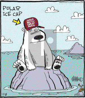 Reality Check on Friday December 18, 2020 Comic Strip