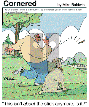 Cornered on Saturday October 24, 2015 Comic Strip