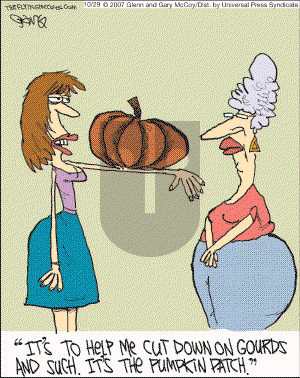 The Flying McCoys on Tuesday October 30, 2007 Comic Strip