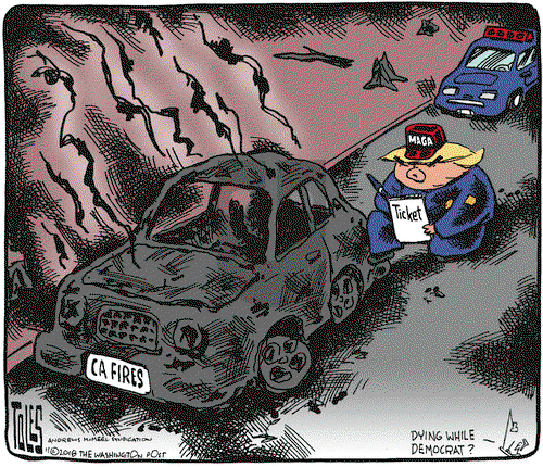 Tom Toles on Friday November 16, 2018 Comic Strip