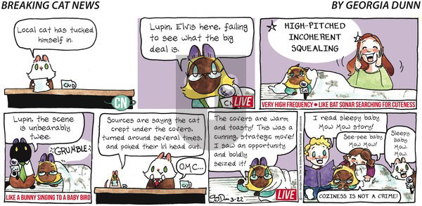 Breaking Cat News on Sunday March 22, 2020 Comic Strip