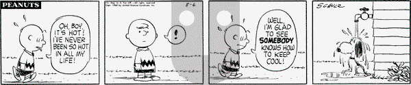 Peanuts - Saturday August 6, 1960 Comic Strip