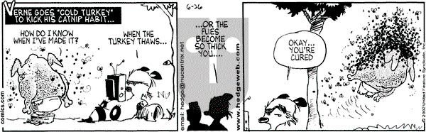 Over the Hedge on Wednesday June 26, 2002 Comic Strip