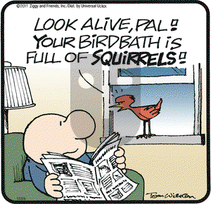 Ziggy on Saturday December 24, 2011 Comic Strip