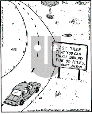 Close to Home - Saturday September 6, 2008 Comic Strip