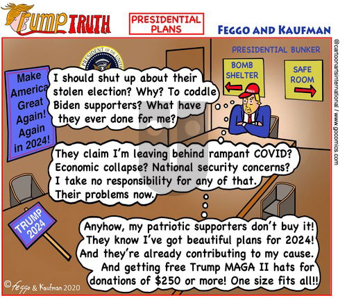 ViewsAmerica on Sunday November 15, 2020 Comic Strip