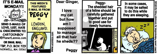 The Big Picture on Monday May 19, 2025 Comic Strip