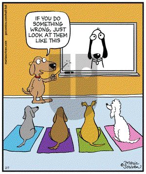 Half Full on Friday February 7, 2014 Comic Strip