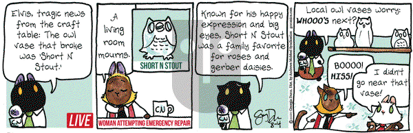 Breaking Cat News on Tuesday August 4, 2020 Comic Strip
