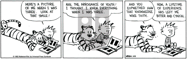 Calvin and Hobbes on Saturday November 18, 1995 Comic Strip