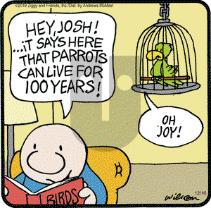 Ziggy on Monday December 16, 2019 Comic Strip