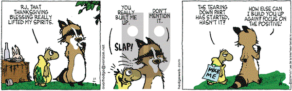 Over the Hedge on Friday November 23, 2007 Comic Strip