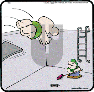 Ziggy - Saturday September 3, 2016 Comic Strip