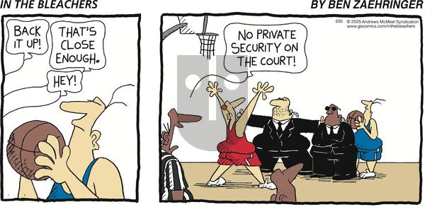 In the Bleachers on Sunday May 25, 2025 Comic Strip